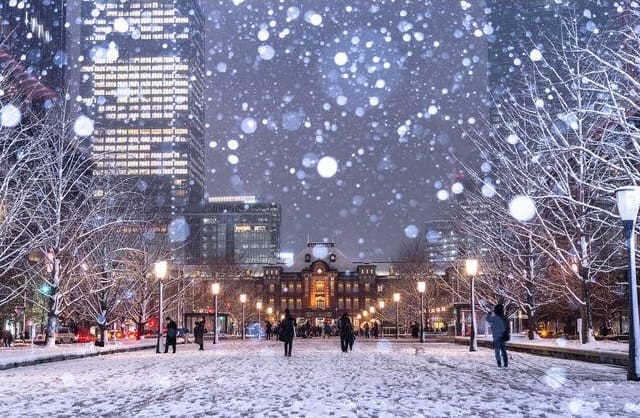 Does It Snow in Tokyo During Winter Break (Dec 26–Jan 6)?