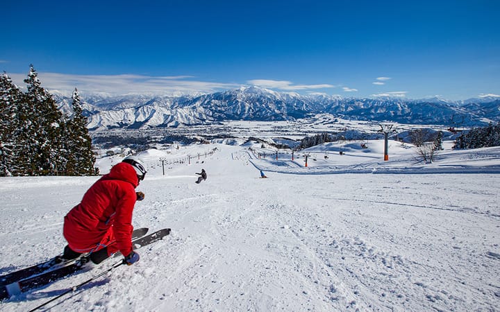 Are there hot spring resorts with snow views that can be visited as a day trip from major cities？